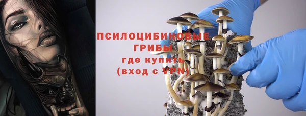 альфа пвп Краснослободск