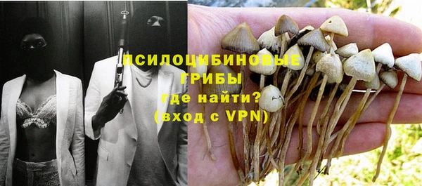 альфа пвп Краснослободск