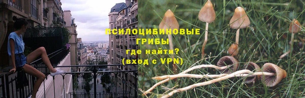стаф Краснотурьинск