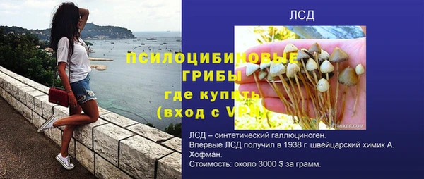 альфа пвп Краснослободск