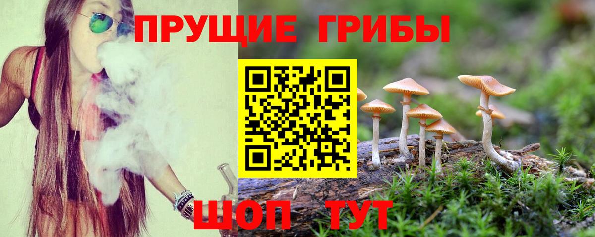 Псилоцибиновые грибы MAGIC MUSHROOMS  Галлюциногенные грибы Psilocybe  Сердобск  Вход с VPN 